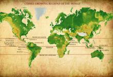 Ruwe smaakverdeling van koffiebonen van over de hele wereld