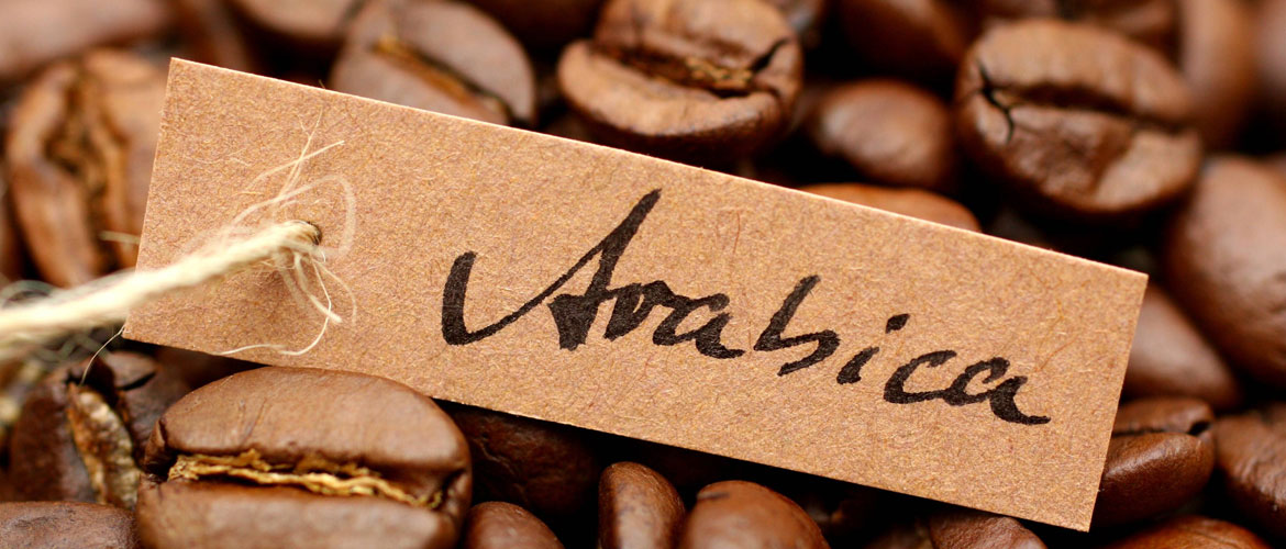 Specialty koffie dankzij duurzame landbouwmethoden