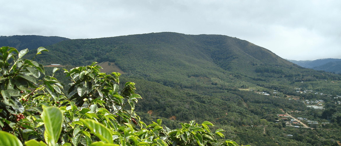 Costa-Rica-Coope-Tarrazu-koffie