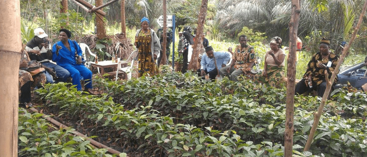 Kameroen-koffie-ontwikkelingsproject-koffieboeren